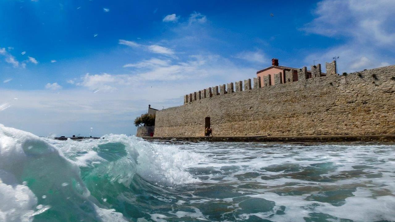 Tina Novigrad (Istria)
