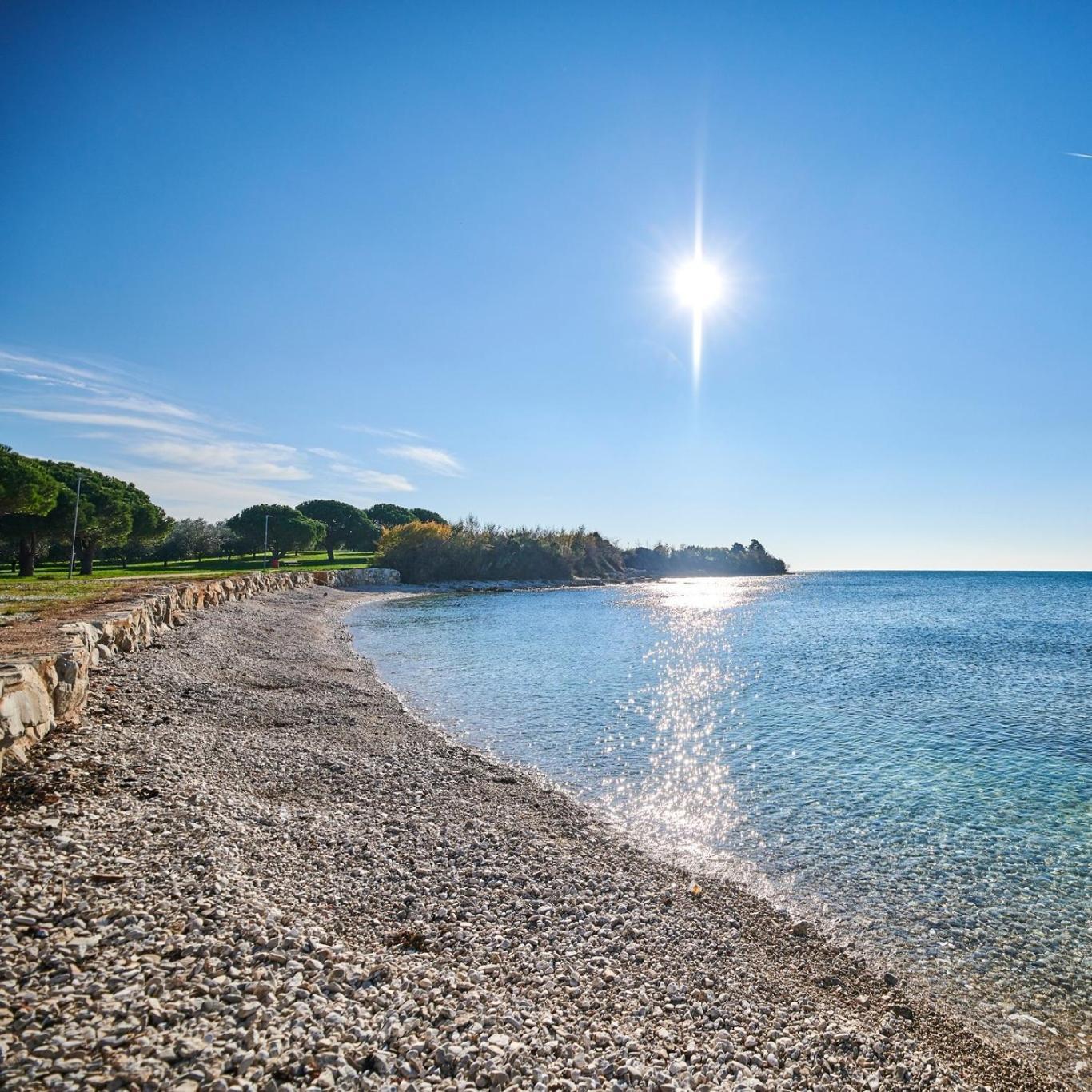 Tina * Novigrad (Istria)